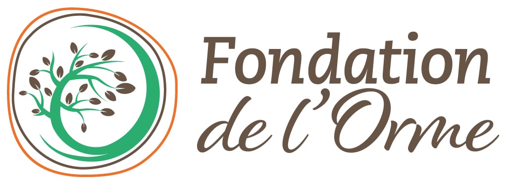 Fondation de l'Orme accompagnée par l'instant Z